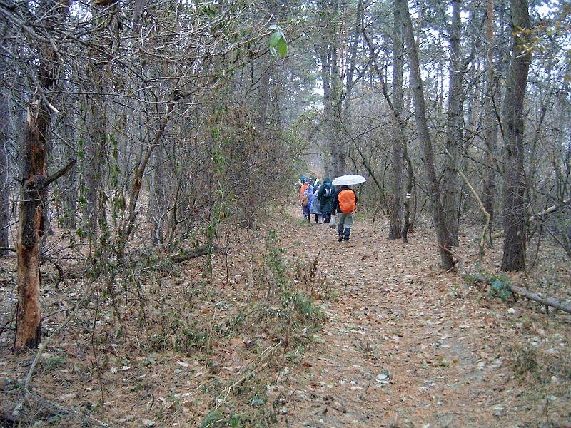 20111210 090.jpg